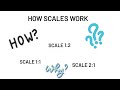 Scales explained for egd students