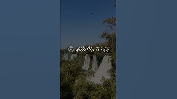 كَأَنَّهُنَّ الْيَاقُوتُ وَالْمَرْجَانُ #سورة_الرحمن بصوت| إيهاب عبد الجواد