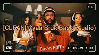 [CLEAN] Squash - Cyaa Bruk Back (Audio)