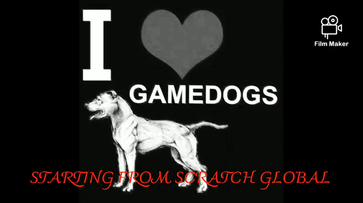 The Real American Pitbull Terrier "Gary's Sissy" #...