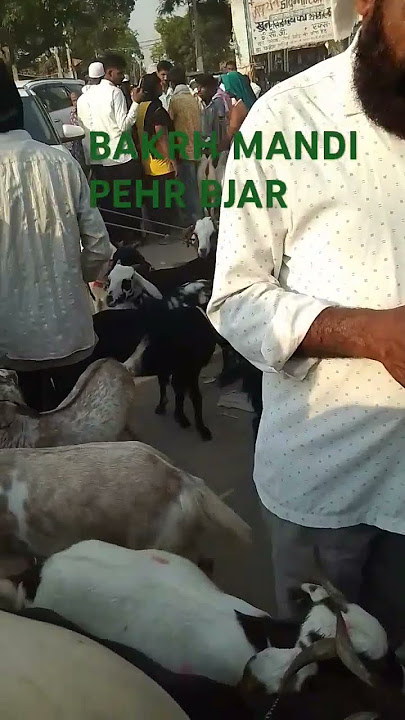 #automobile #december1st #whowillbemylifepartnerta pehar bjar