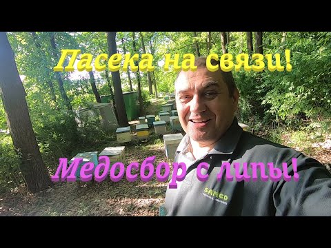 ✅ Расширение отводков перед главным медосбором с липы! Пасека на связи! #ПЧЕЛОВОДСТВО7