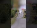 Rally Car Jumps & Drifts