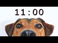 11 minute timer for school and homework  dog bark alarm sound