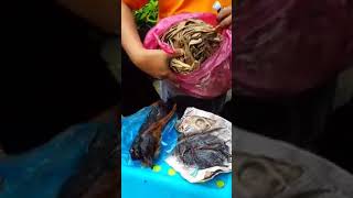 MINYAK  HERBA  BURUNG  BUT-BUT