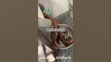 Máy ép dầu đậu phộng- vừng 12-20kg/1h lọc liền máy