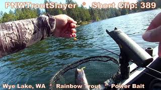 Short Clip #389 #wyelake  #rainbowtrout #powerbait #kayakfishing