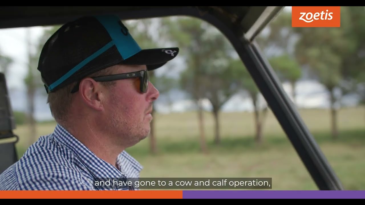 Shad Bailey, Cattle Producer & Stock Agent (NSW), on Rhinogard IBR and Bovi-Shield MH-One.