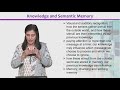 PSY402 Experimental Psychology Lecture No 171