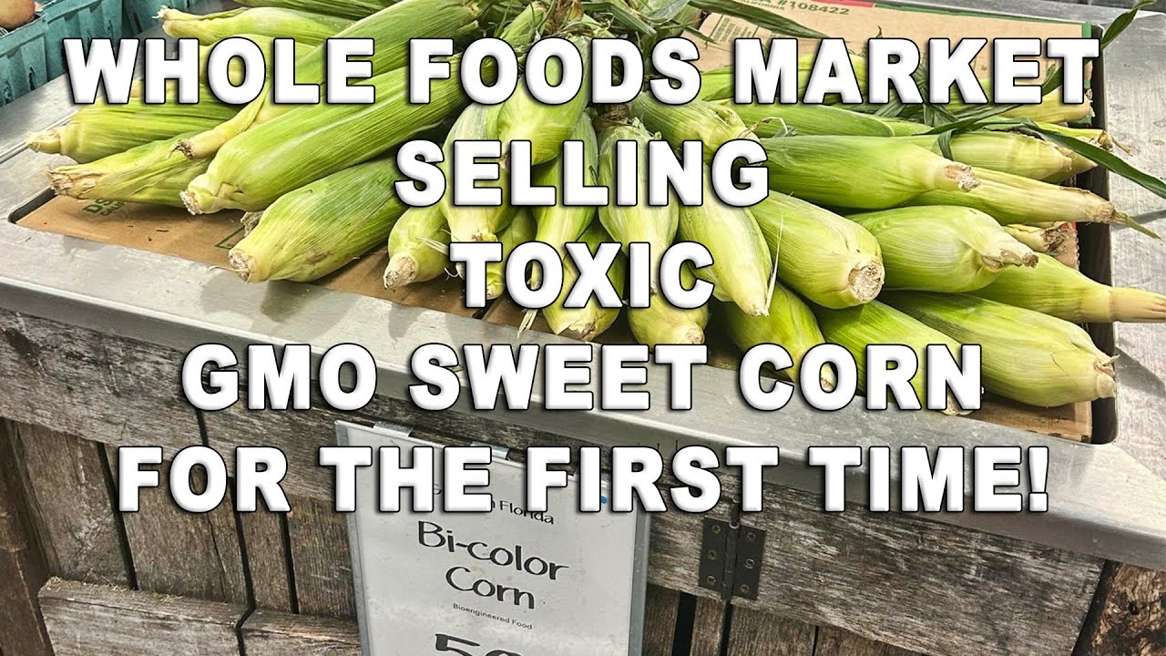 Whole Foods Market Selling Toxic GMO Sweet Corn (Toxin Free USA Press Release) YouTube