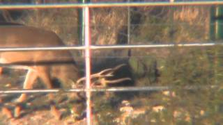 Southern Star Ranch Phase 1B.wmv
