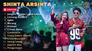 Jangan Tunggu Lama Lama - Shinta Arsinta Ft. Sadewok Full Album Terbaru Dangdut Koplo 2026