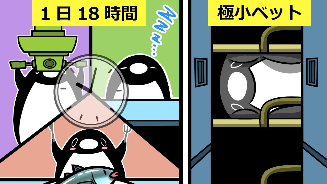 ブラック企業の様子を描く テイコウペンギン が面白い 5 000万円の資金調達も完了 New Frontier