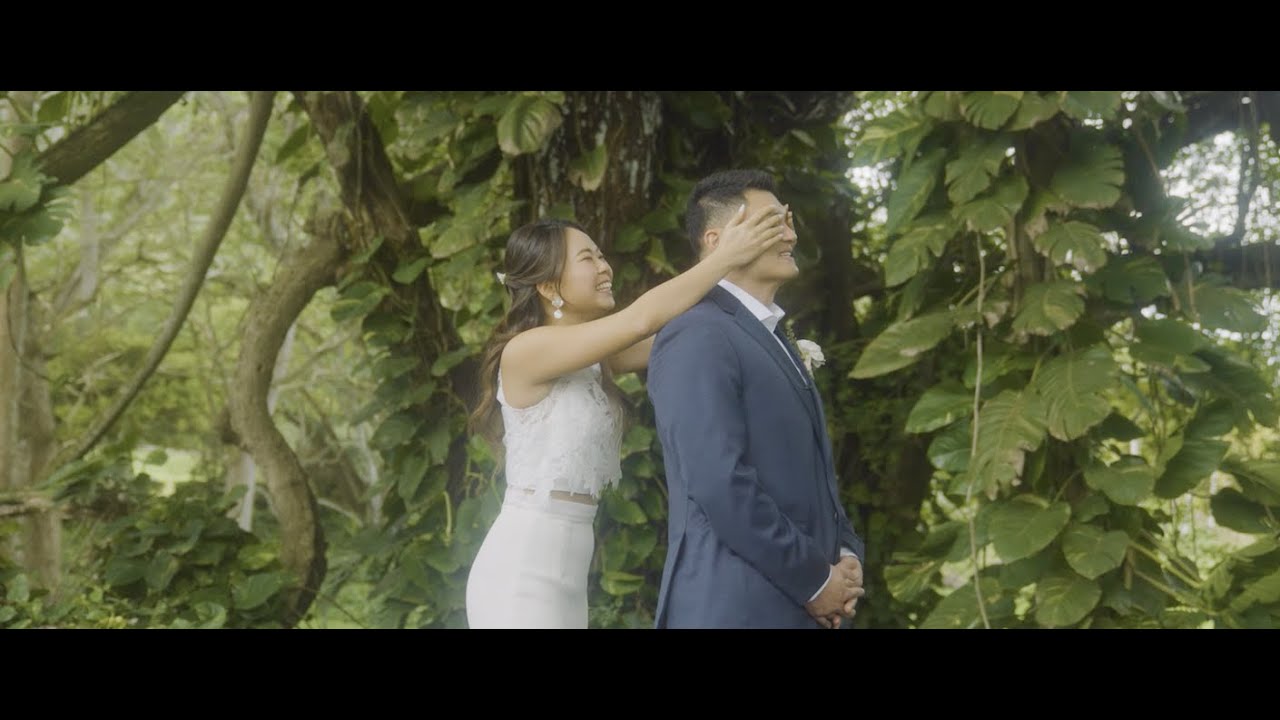Love Roams - Videography - Honolulu, HI - WeddingWire