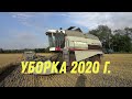 ДОЖДЬ В УБОРКУ ОЗИМОЙ ПШЕНИЦЫ 2020!!!АКРОС580 ВЕКТОР410!!!