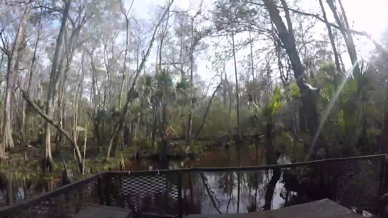 Bull Creek, FL Mizell Crossing YouTube