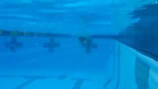 Swim 09 21 2015 2