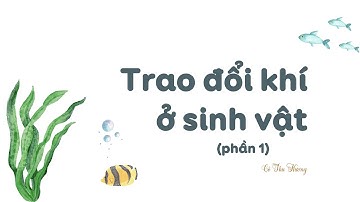 TRAO ĐỔI KHÍ Ở SINH VẬT (phần 1) - Khoa học tự nhiên 7 - OLM.VN