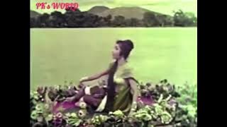 Aaja aai bahar dil he bekarar | evergreen song whatsapp status | Lata Mangeshkar , Shammi Kapoor