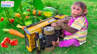 Smart BiBi harvests fruit and cooks carrots for breakfast