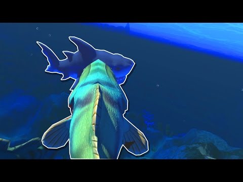 Video ĂN THỊT CÁ MẬP TRẮNG!!!| Feed and Grow: FISH[14] - youtube