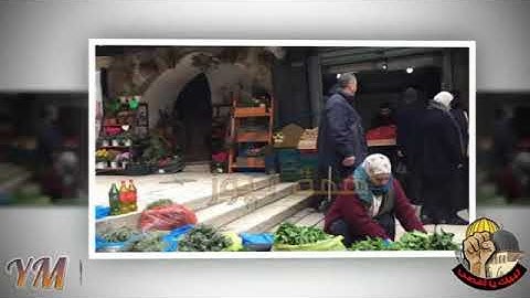 71  سورة   نوح القارئ سعد الغامدي