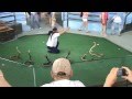 Snakes cobra show  Part 1