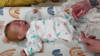 WELCOME my first NANO PREEMIE REBORN BABY born here in the PIXI
