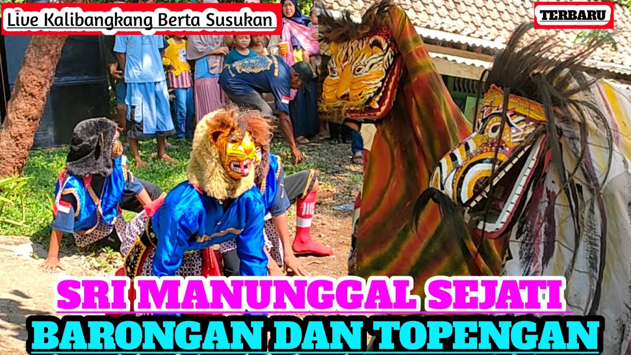 BARONGAN & TOPENGAN || SRI MANUNGGAL SEJATI || Live Kalibangkang Berta Susukan