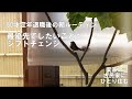 60才定年退職後の朝ルーティン。最優先でしたいことへシフトチェンジ。�