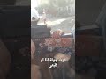 ديت كلبتي الى مدينة تبدل الجو مليلوا بعقلهة