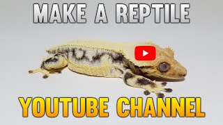 Why You Need A YouTube Channel If You Breed Reptiles 1/2