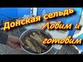 Донская селёдка . Ловим Жарим Донскую Селёдку на реке Дон .х Каныгин .как ловить селёдку