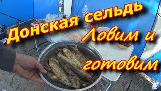 Донская селедка . Жарим донскую селёдку на реке Дон .х Каныгино. Донская селедка . Жарим донскую селёдку на реке Дон .х Каныгино.