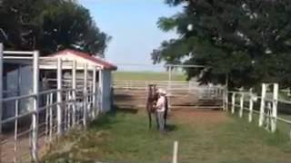 trim 5F29028B 2DC6 4341 AD38 1190974F8C0E