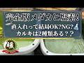 【完全版】メダカの水道水「直入れ」は本当に大丈夫？カルキ（塩素）の真実と正しい水換え判断基準【媛めだか】