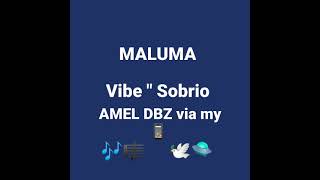 Amel Dbzoo - Sobrio Vibe Maluma 