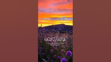 عبدالرحمن مسعد/ سورة الفتح #دعاء #قرآن #قران_كريم #تلاوة_خاشعة #تلاوة #quran #tilawat #tilawatequran