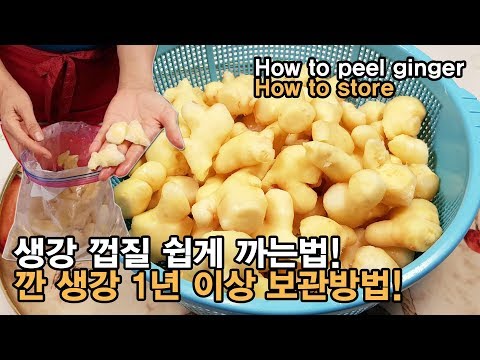 대용량 생강 껍질 쉽게 까는 법 & 생강 1년 이상 보관법! How to peel ginger & How to store.[백길월의 한식요리]