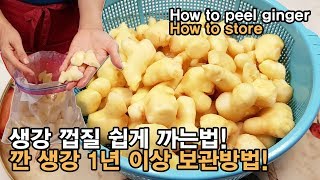 대용량 생강 껍질 쉽게 까는 법 & 생강 1년 이상 보관법! How to peel ginger & How to store.[백길월의 한식요리]