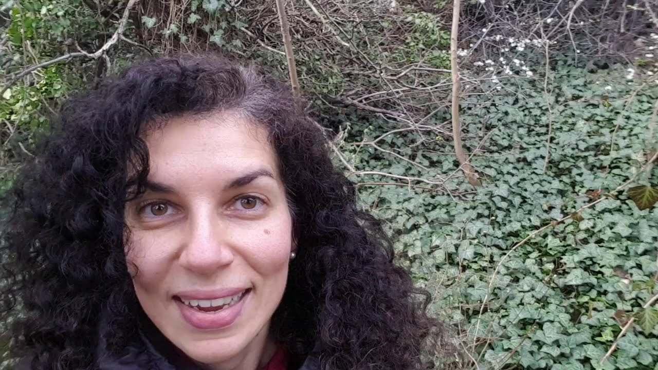 The 4 tasks of grieving and letting go [Wise Wednesdays]