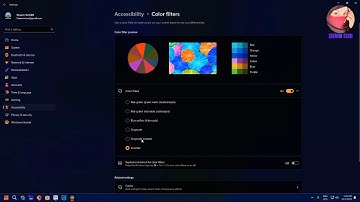 How to Change Color Filters in Windows 11