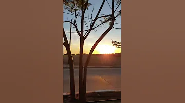 يا طير خدني ع الوطن الشاعر والفنان ابو عرب 