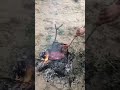 carné asada en el rio