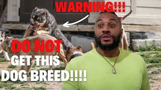 WARNING: DO NOT Get This DOG BREED!?!?!?! Here's Why...