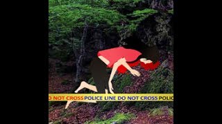 Wow Escape Game Save The Girl From Crime Scene video walkthrough screenshot 5