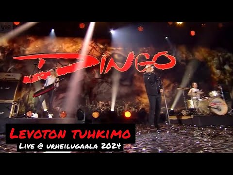 Dingo - Levoton Tuhkimo  Live @ Urheilugaala 11.1.2024 Helsinki #Dingo40 Nipa Neumann , Jonttu Virta