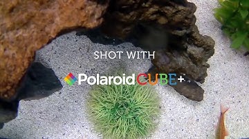 Polaroid - Polaroid Cube+ Swimmin