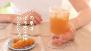 手軽に簡単、粉末ごぼう茶　アイスでもホットでも大丈夫 ＃ごぼう茶