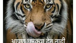 Attitude status #attitude status #attitude status